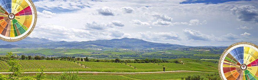 880x495 downloads2.1