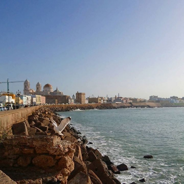 Traubenliebe added 3 new photos.