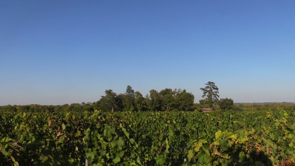 Château Finegrave