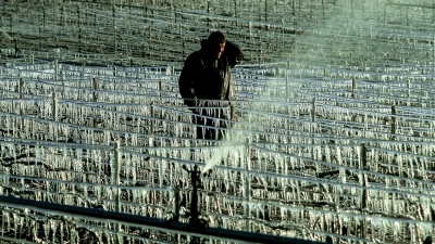 Widespread damage has been repor