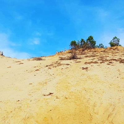 Traubenliebe added 2 new photos.