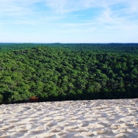 No comment #nocomment #traubenliebe #wein