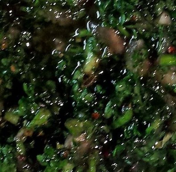 Chimichurri Sauce