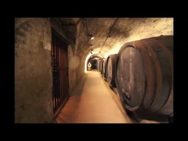 Loisium Weinwelt