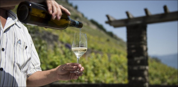 Wieviel Geld wird f&uuml;r Wein ausg