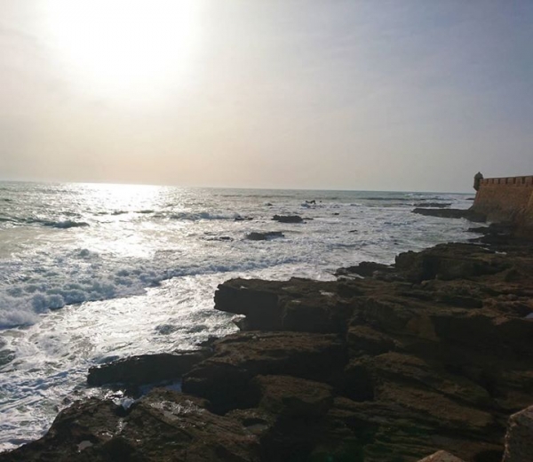 Traubenliebe added 5 new photos.