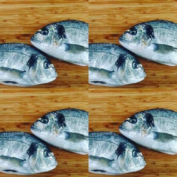 Eye to eye #fishy #wein #wineoclock #winelover